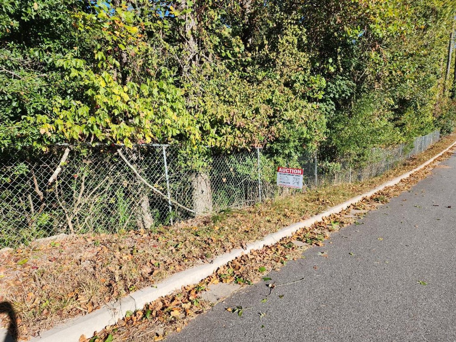 Image for 27.3 +/- Acres on Lake Lanier