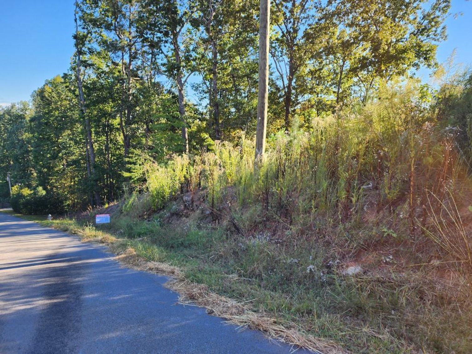 Image for 27.3 +/- Acres on Lake Lanier