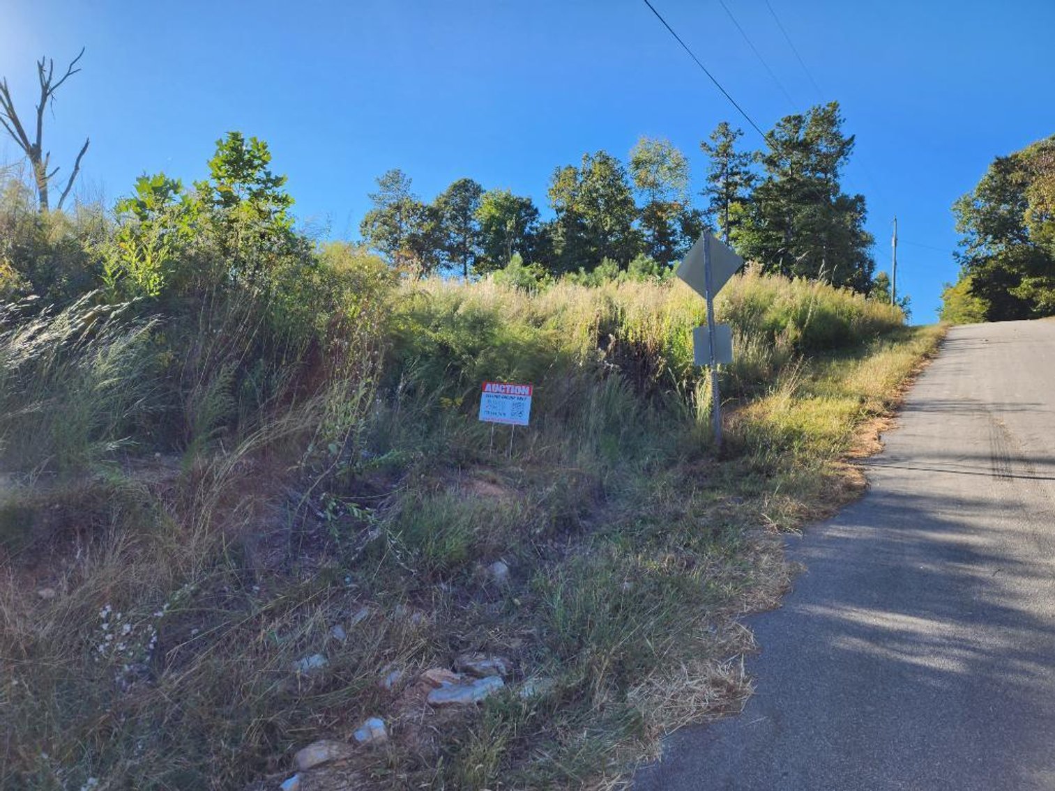 Image for 27.3 +/- Acres on Lake Lanier
