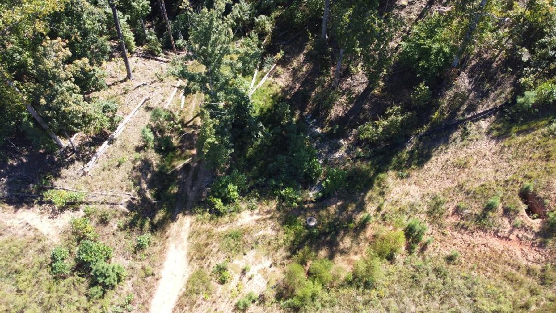 Image for 27.3 +/- Acres on Lake Lanier