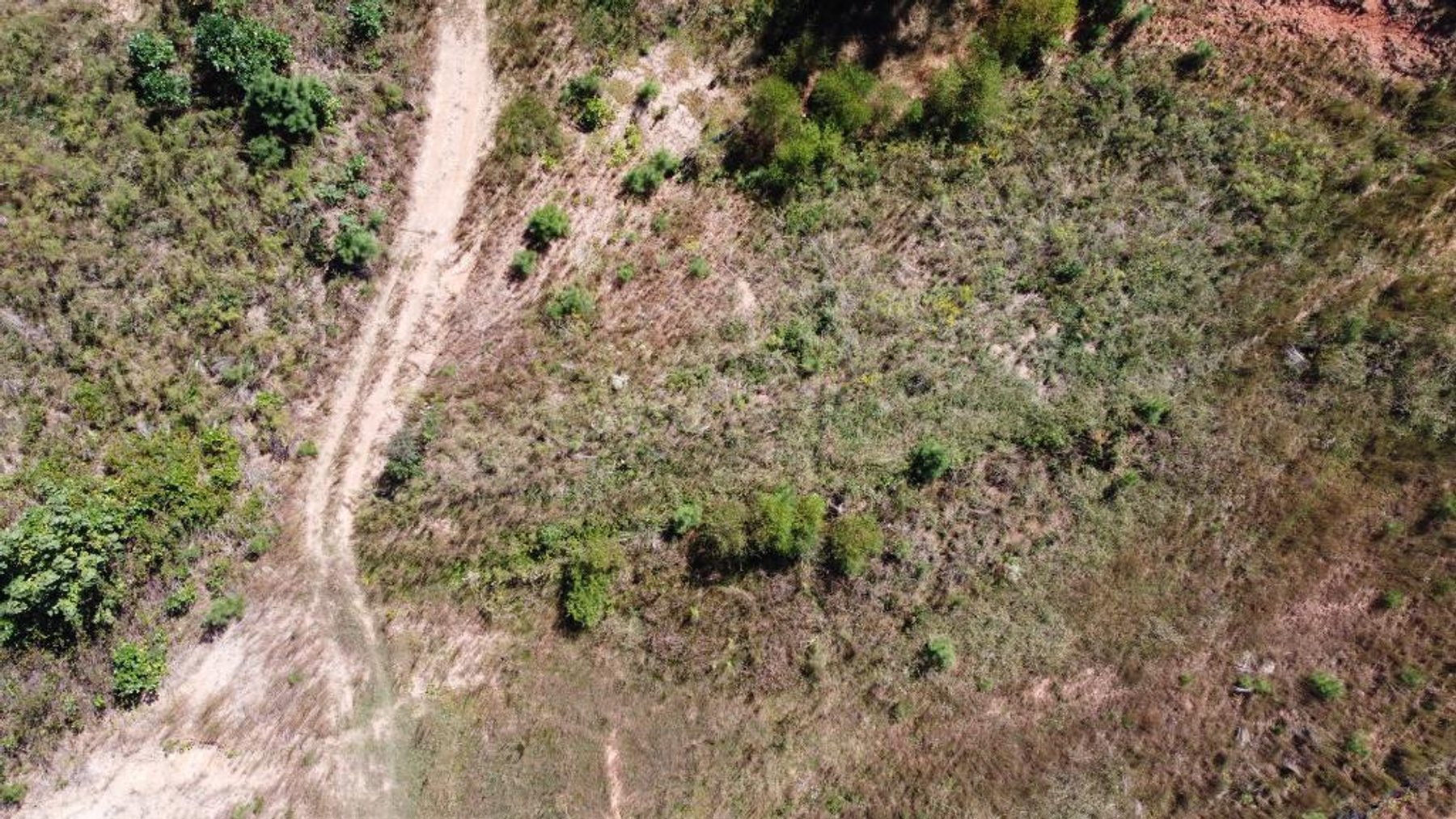 Image for 27.3 +/- Acres on Lake Lanier