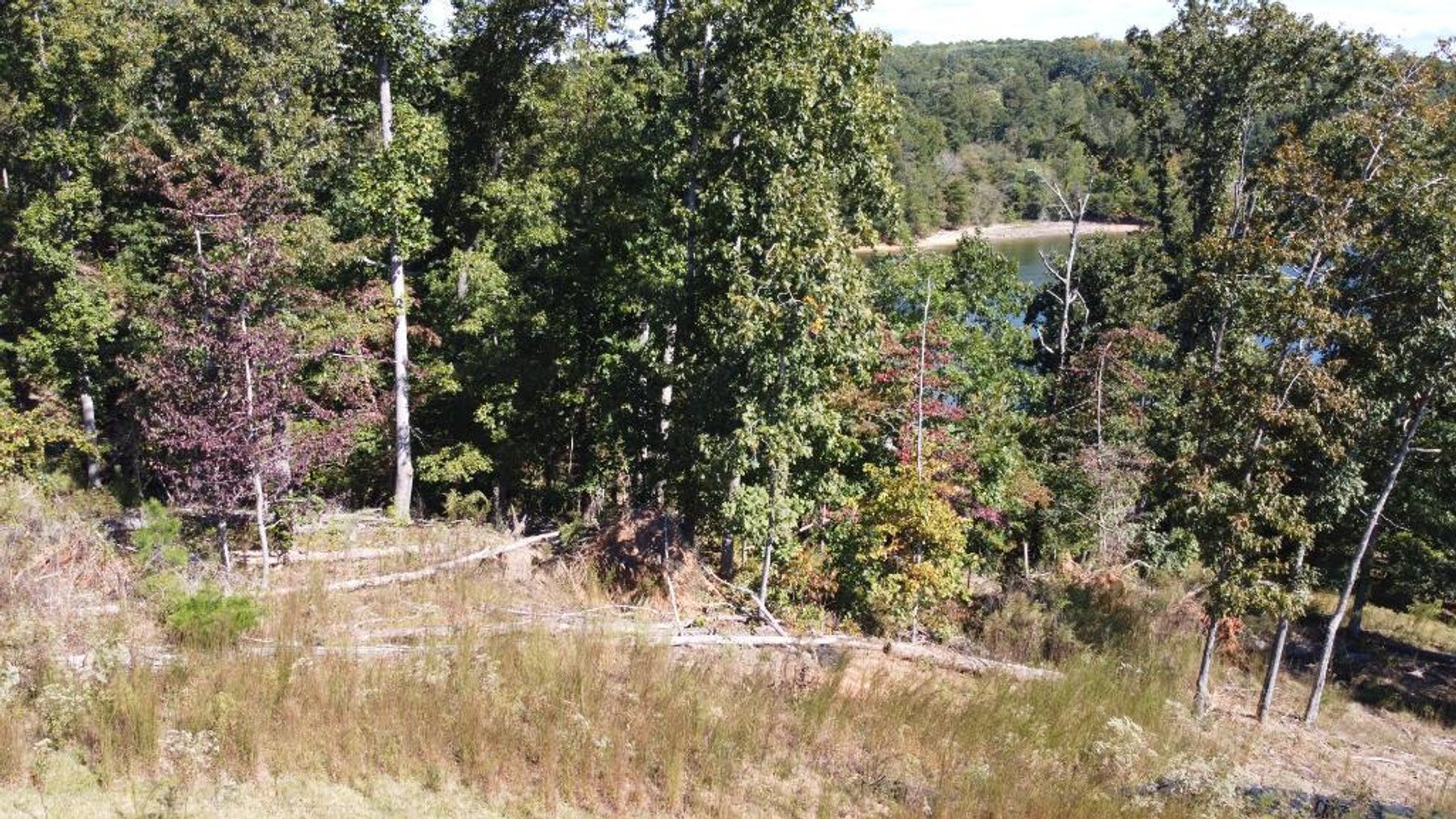 Image for 27.3 +/- Acres on Lake Lanier