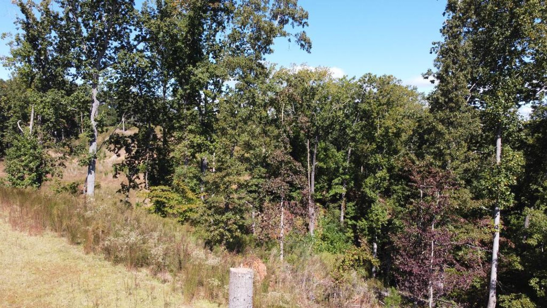 Image for 27.3 +/- Acres on Lake Lanier