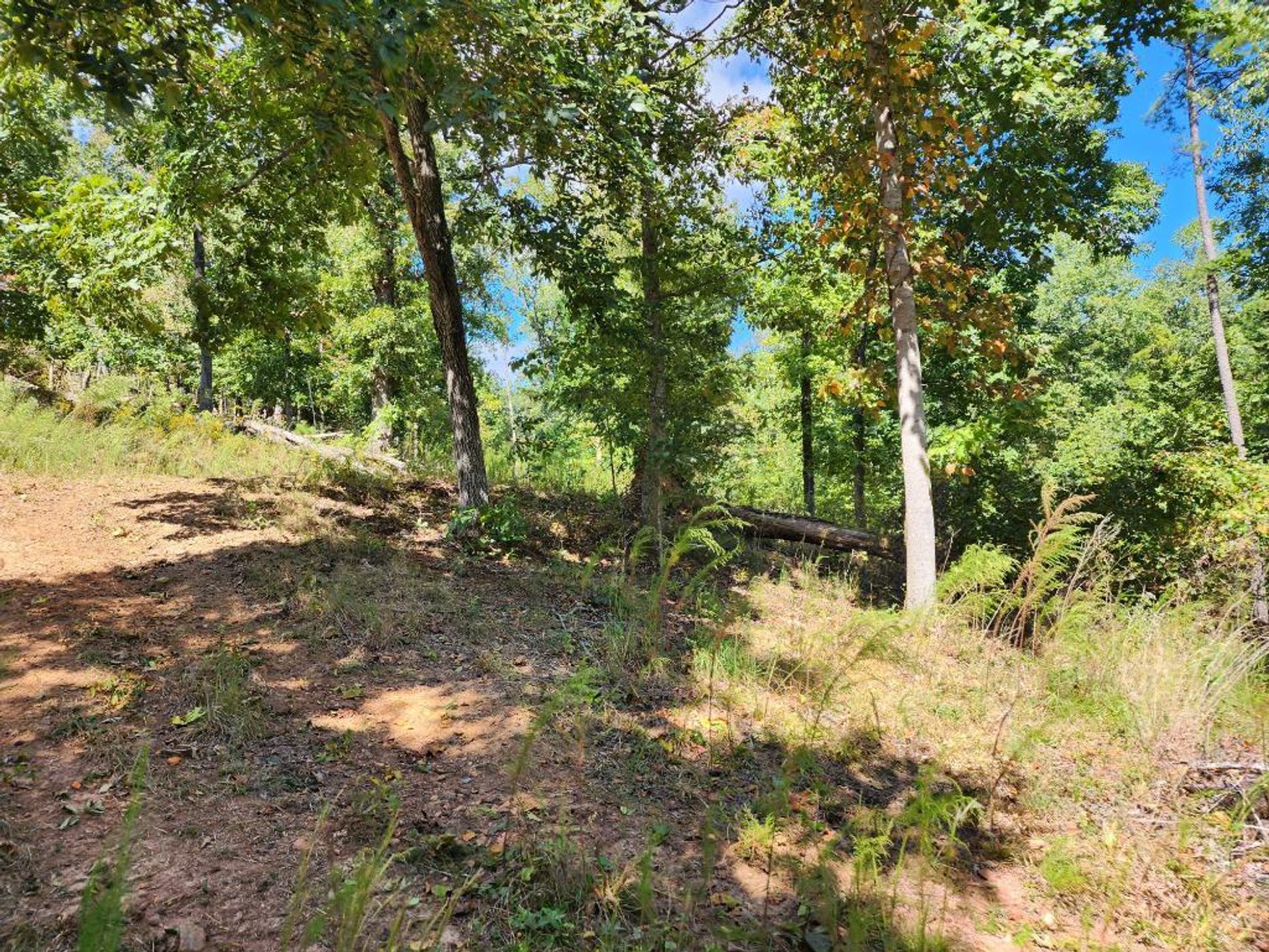 Image for 27.3 +/- Acres on Lake Lanier