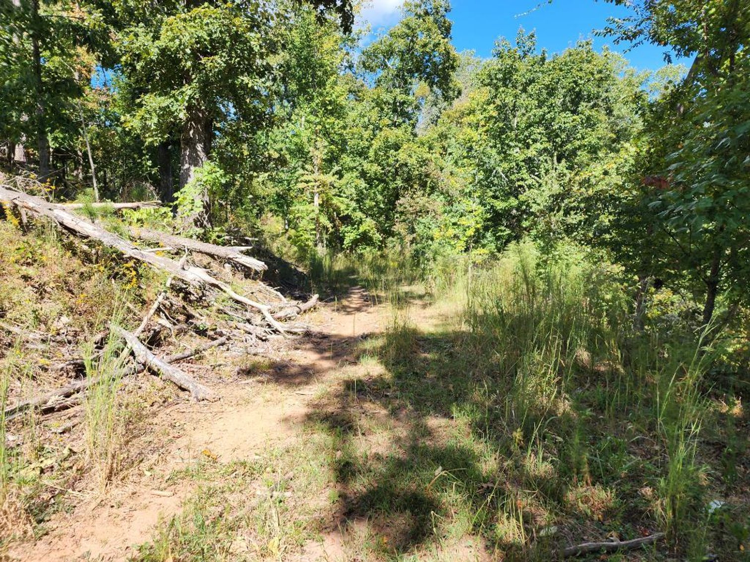 Image for 27.3 +/- Acres on Lake Lanier