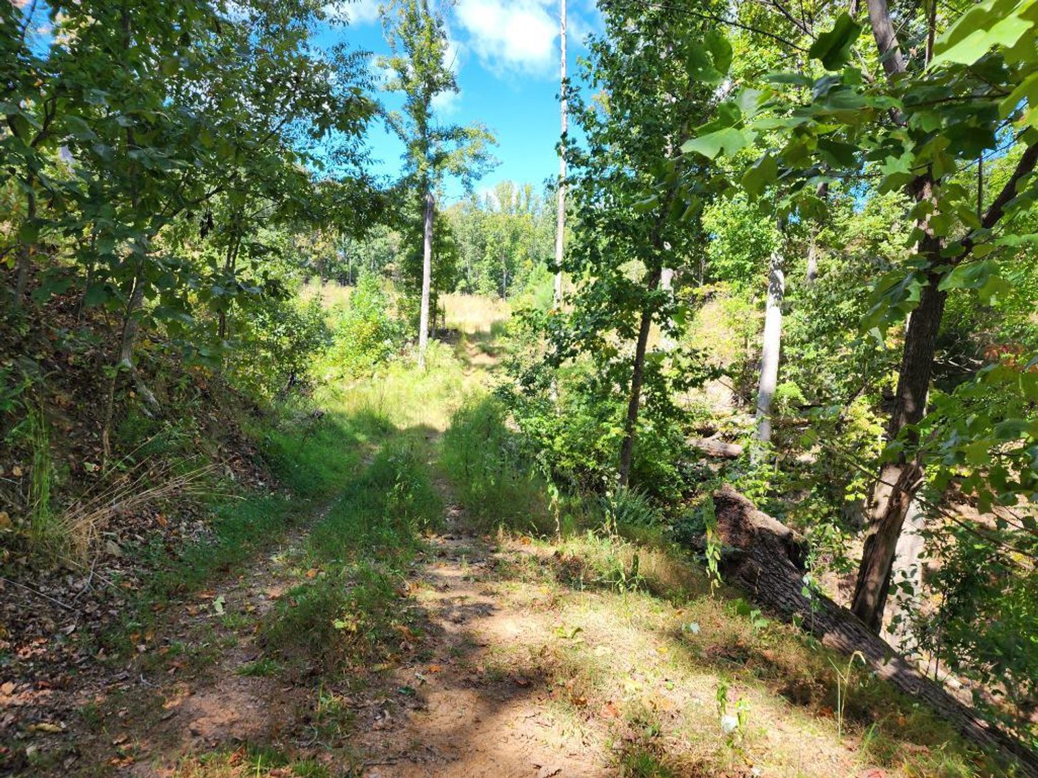 Image for 27.3 +/- Acres on Lake Lanier