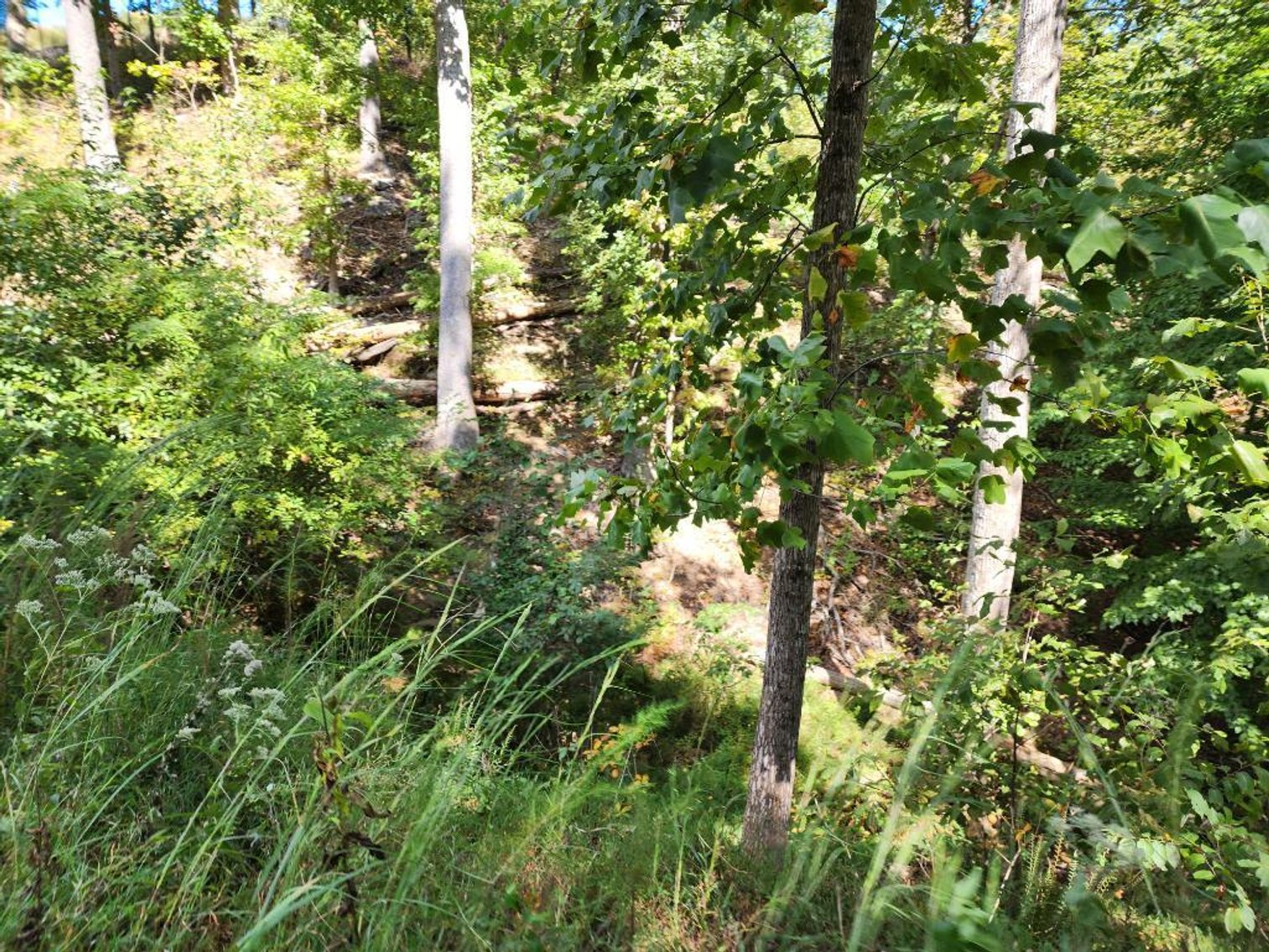 Image for 27.3 +/- Acres on Lake Lanier