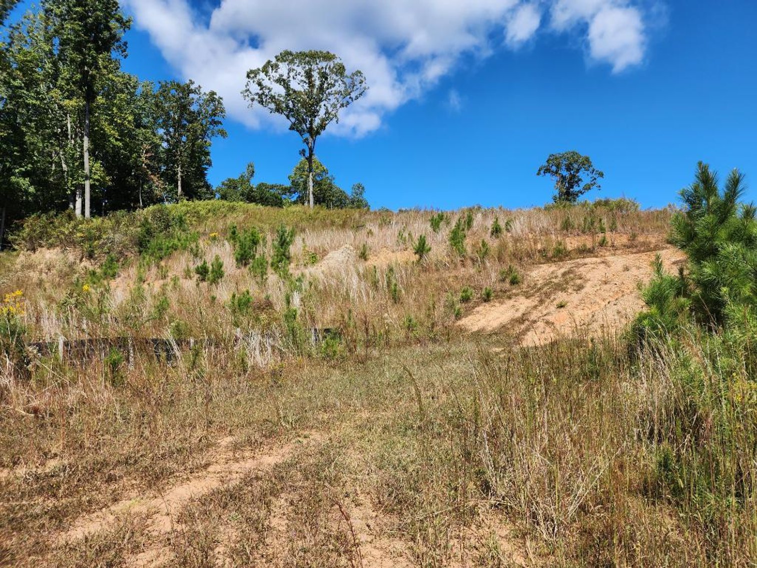 Image for 27.3 +/- Acres on Lake Lanier