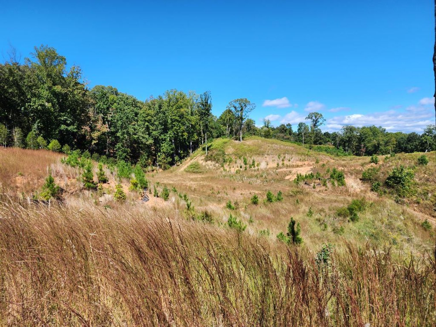 Image for 27.3 +/- Acres on Lake Lanier