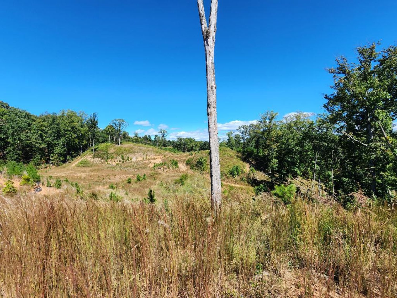 Image for 27.3 +/- Acres on Lake Lanier