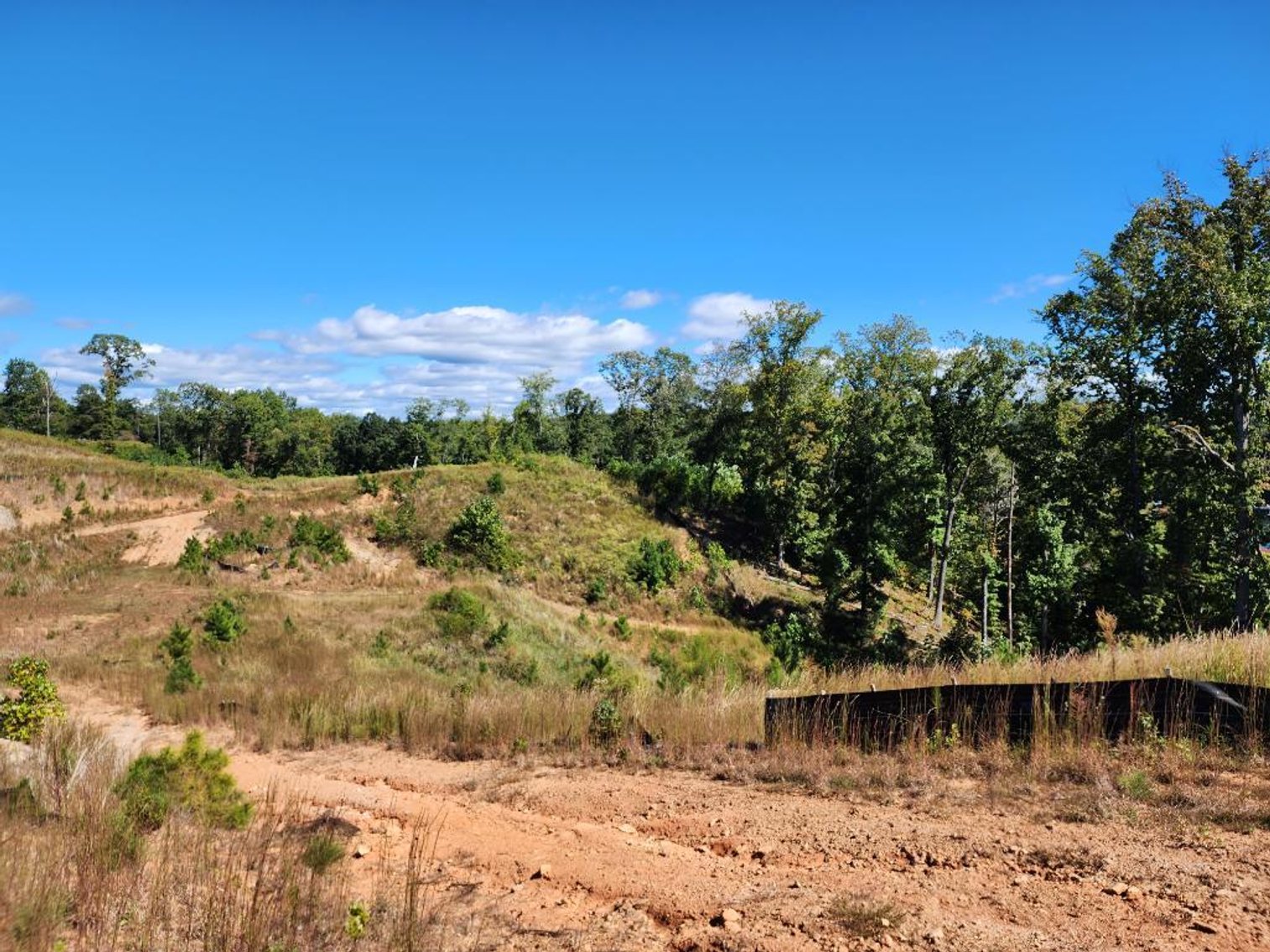 Image for 27.3 +/- Acres on Lake Lanier