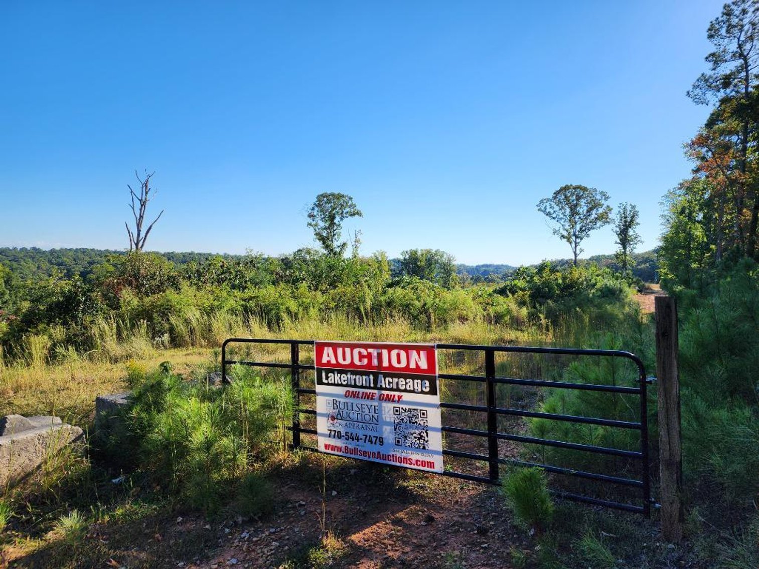 Image for 27.3 +/- Acres on Lake Lanier