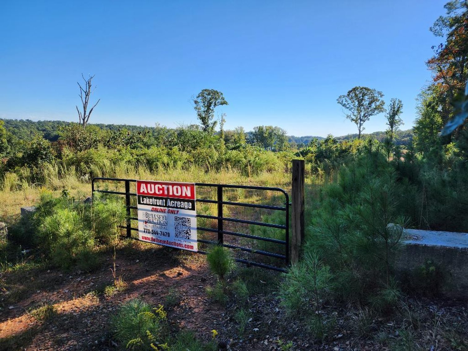 Image for 27.3 +/- Acres on Lake Lanier