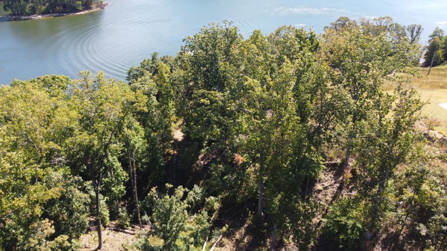 Image for 27.3 +/- Acres on Lake Lanier