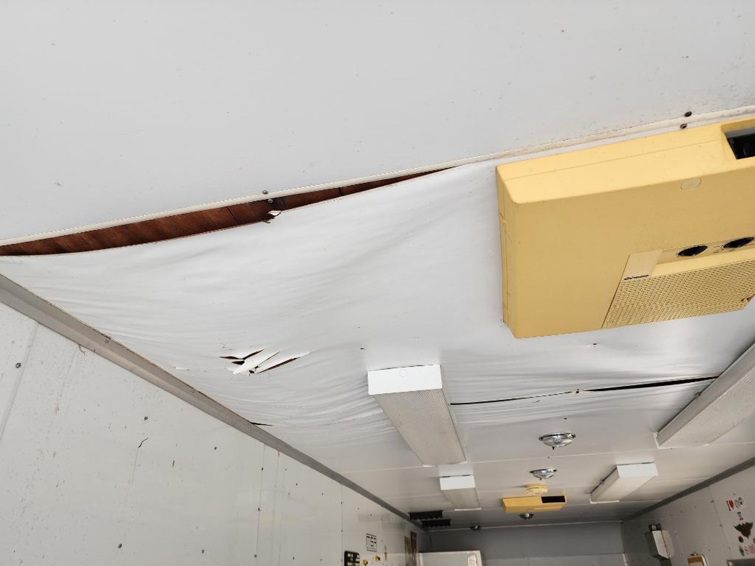 Image for Cat Loader & Pace Enclosed Trailer