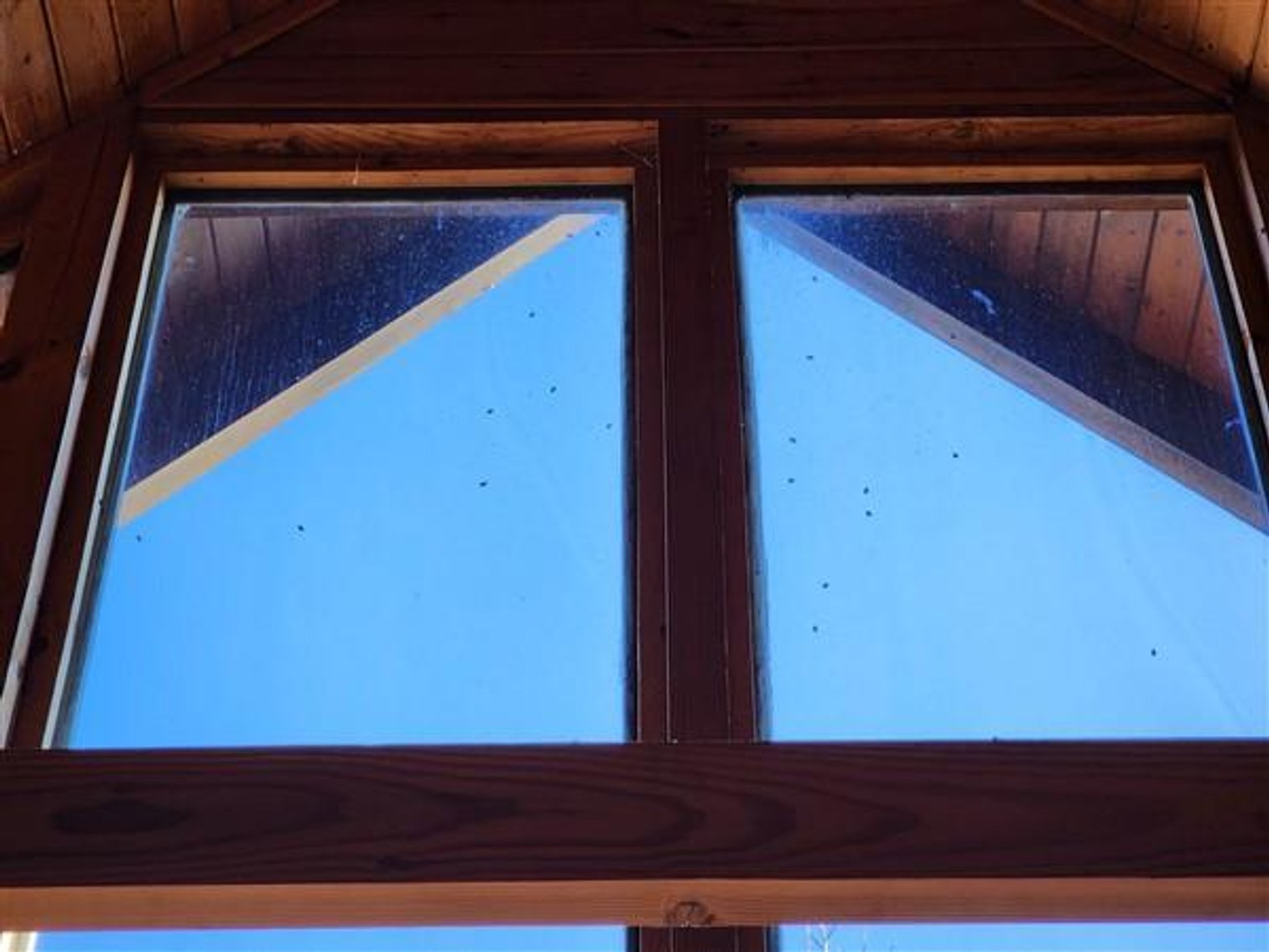 Image for Mountain Cabin on 3+/- Acres