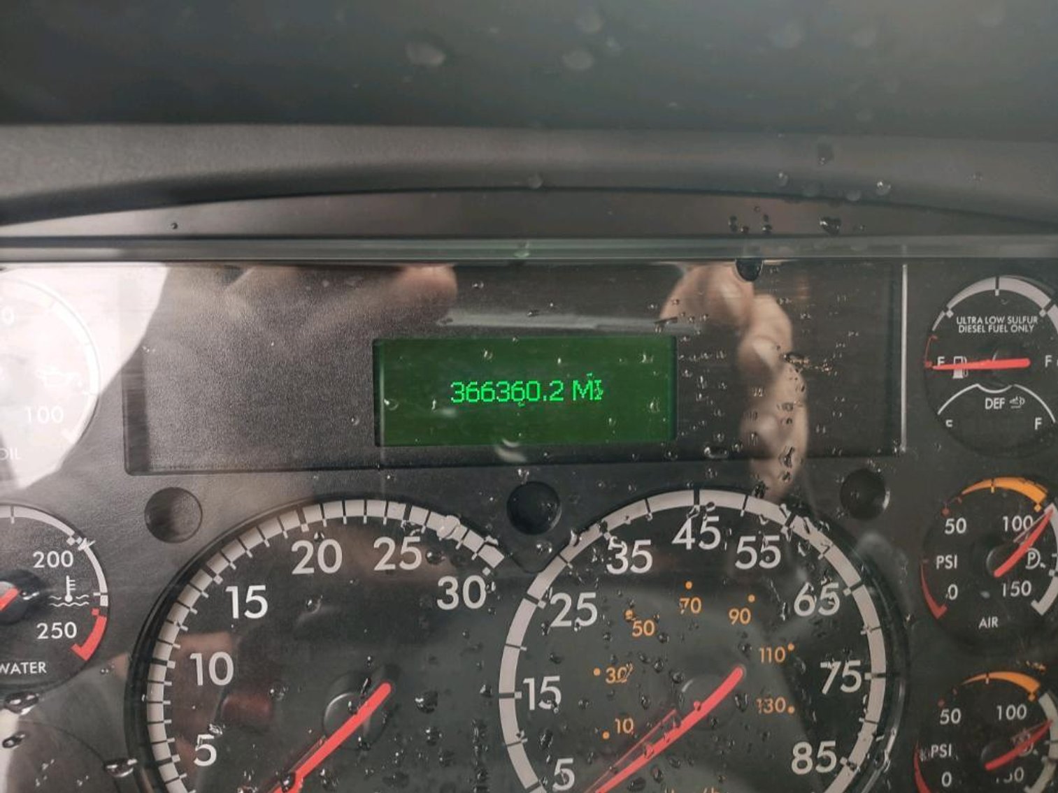 Image for Bank Seized 2019 Freightliner