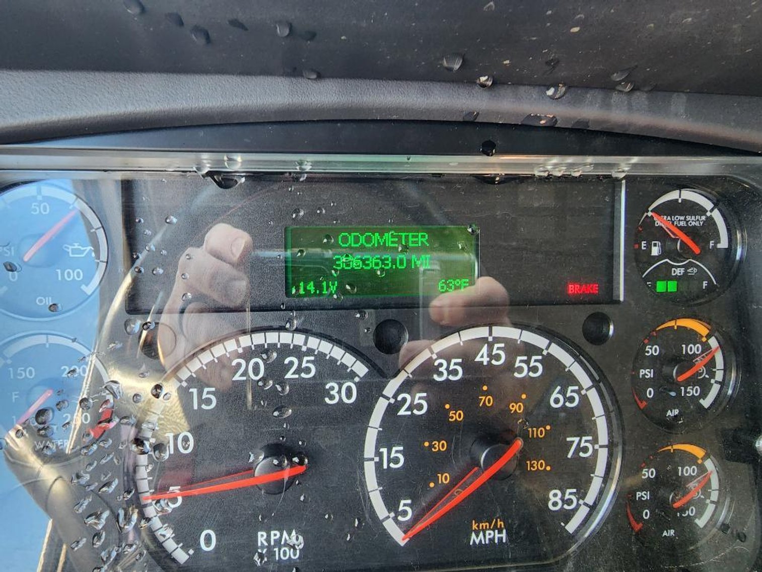 Image for Bank Seized 2019 Freightliner