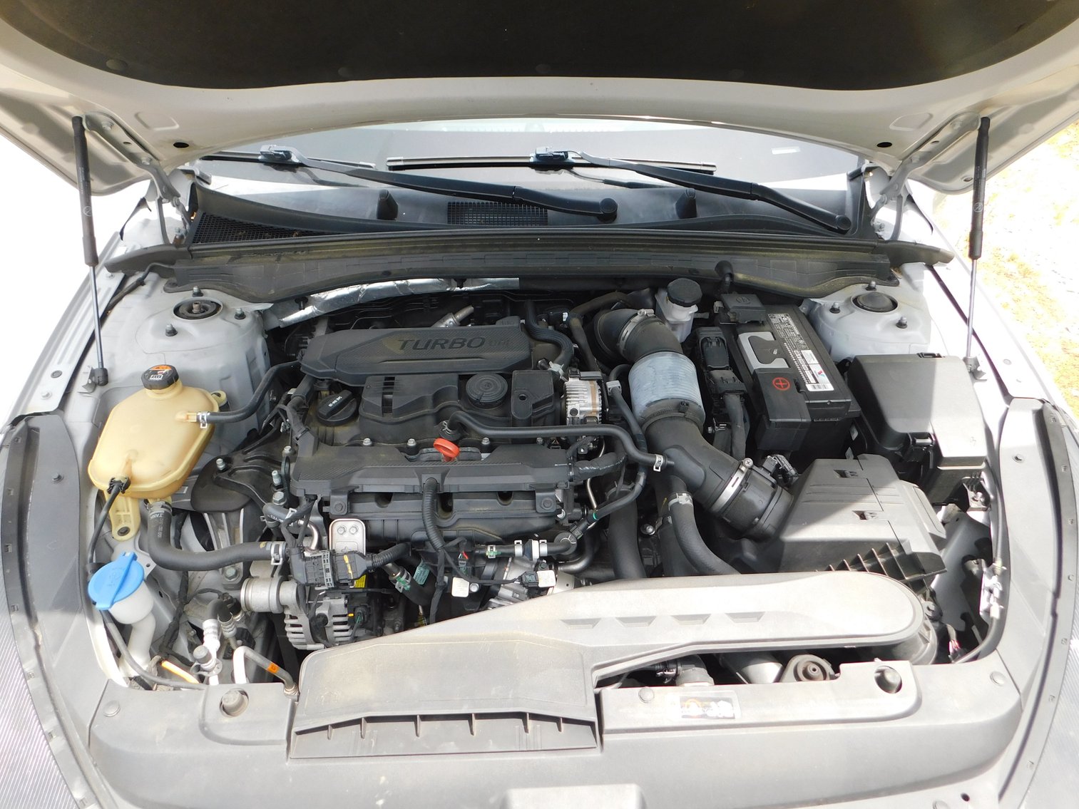 Image for 2021 Kia K5