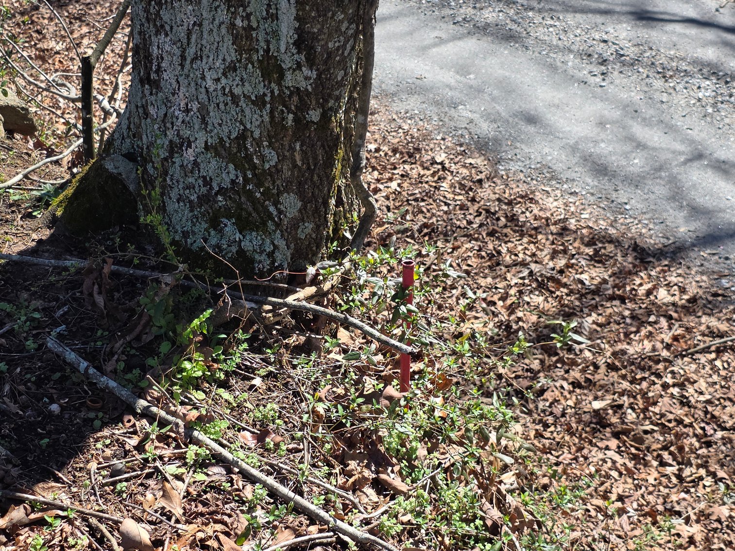 Image for Retirement / Relocation Auction of Commercial Property