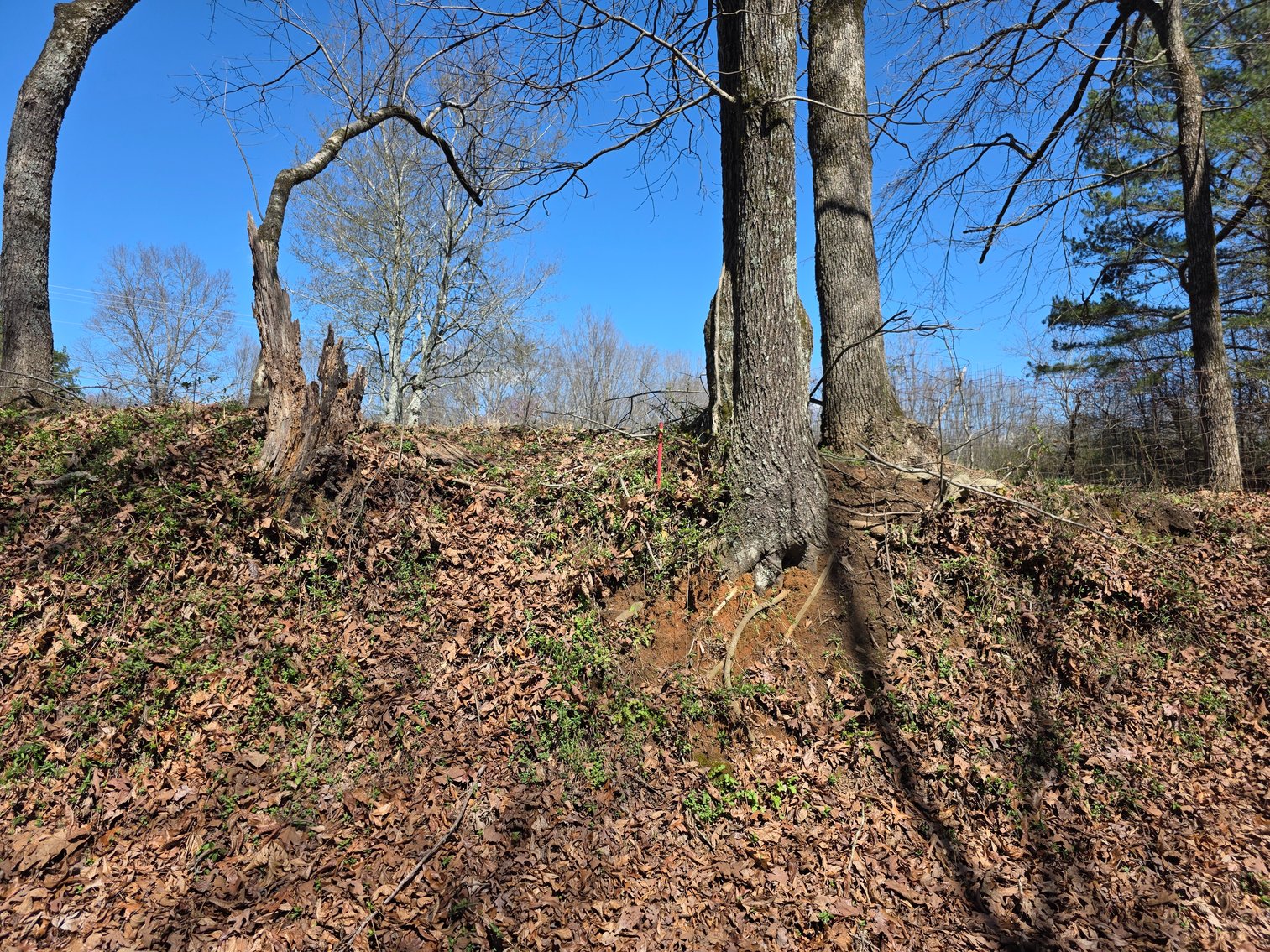 Image for Retirement / Relocation Auction of Commercial Property