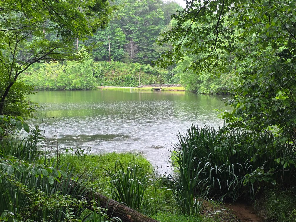Image for Lot in Skylake Community