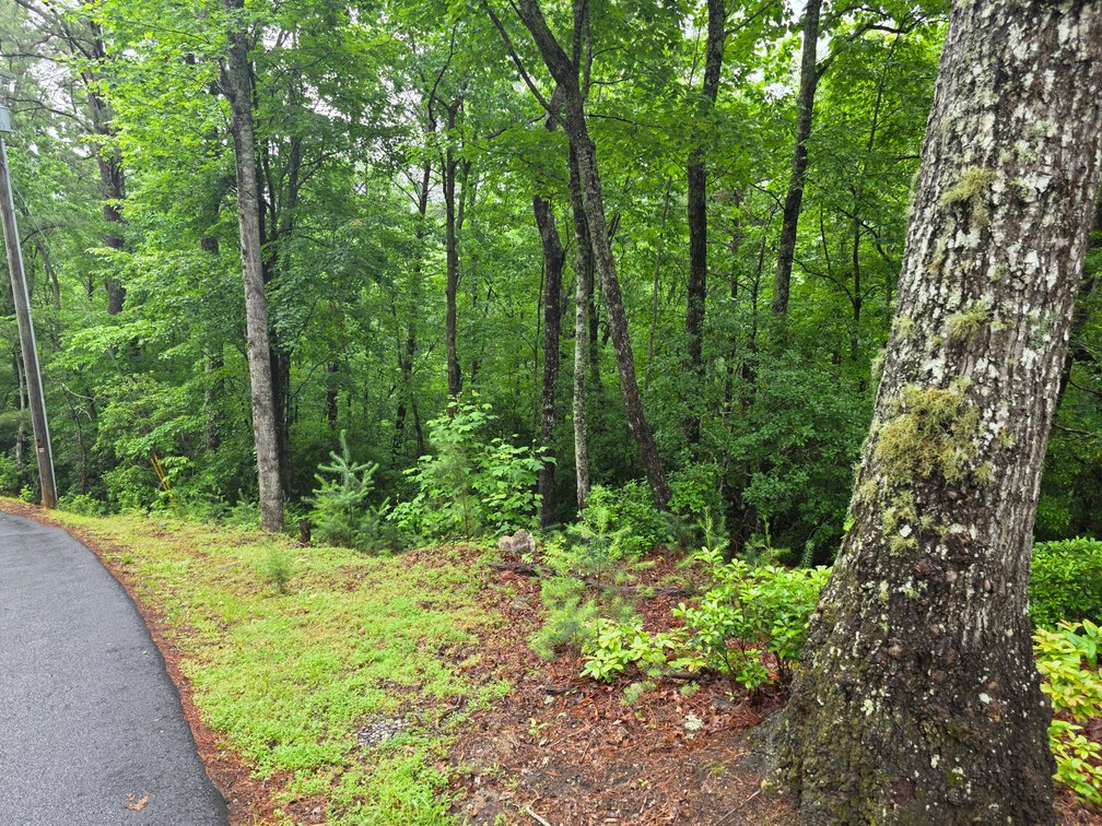 Image for Lot in Skylake Community
