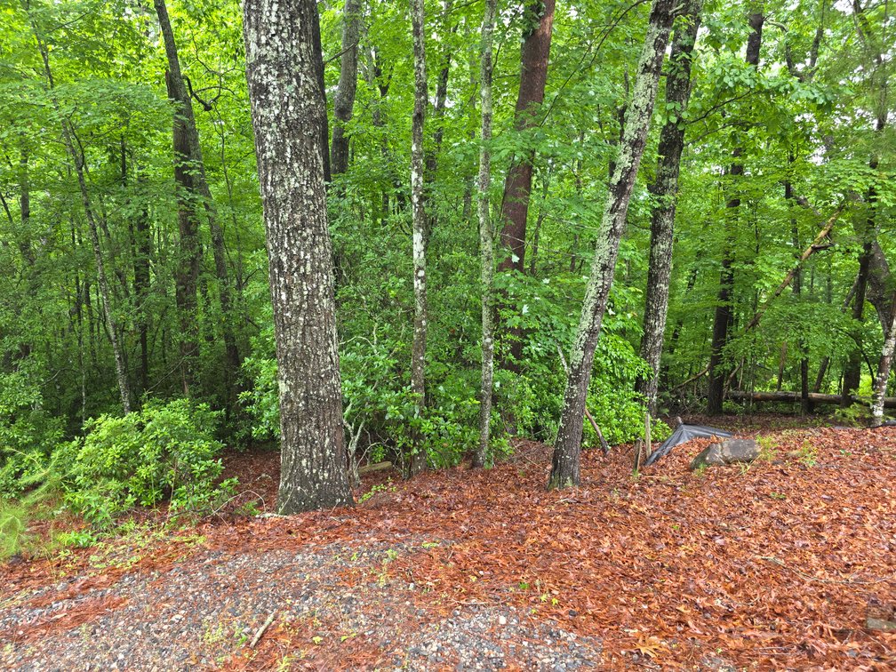 Image for Lot in Skylake Community