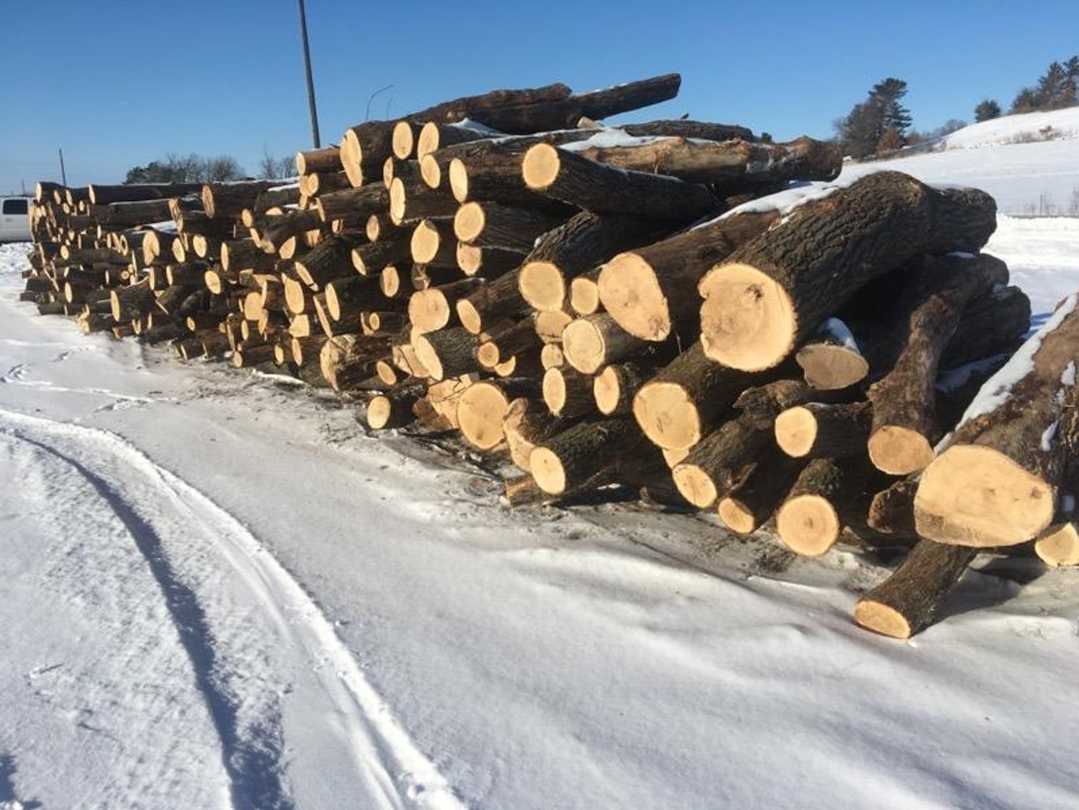 Image for Chevrolet Dually and Timber