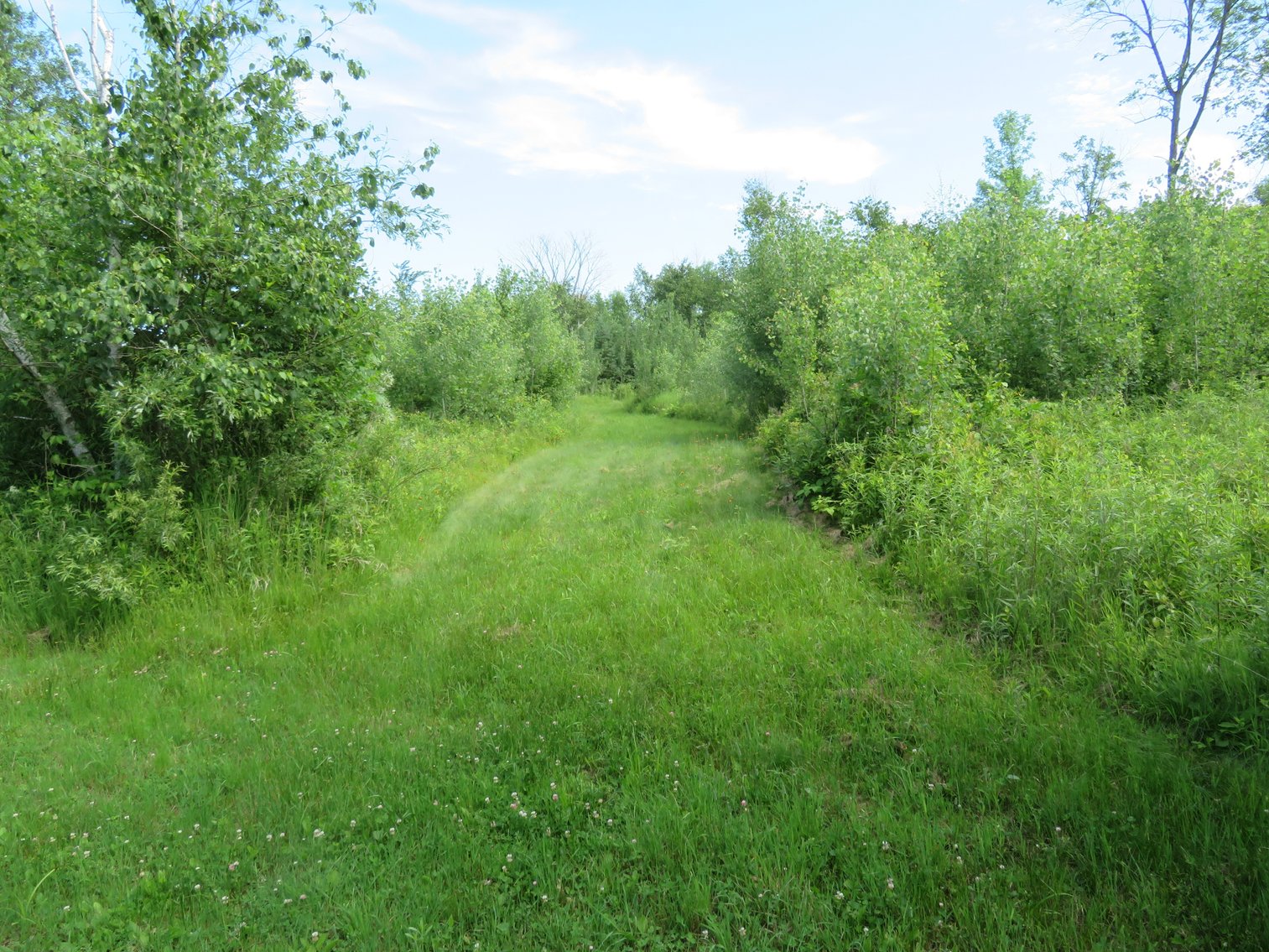 Image for 51+/- Acres of Prime Hunting Land - Absolute Auction
