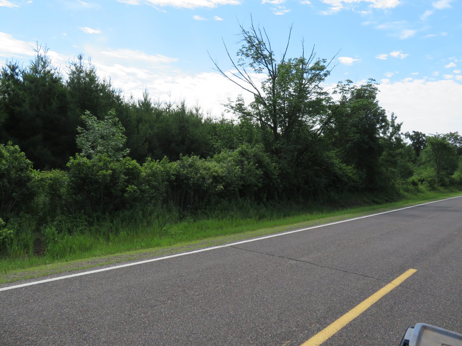 Image for 51+/- Acres of Prime Hunting Land - Absolute Auction