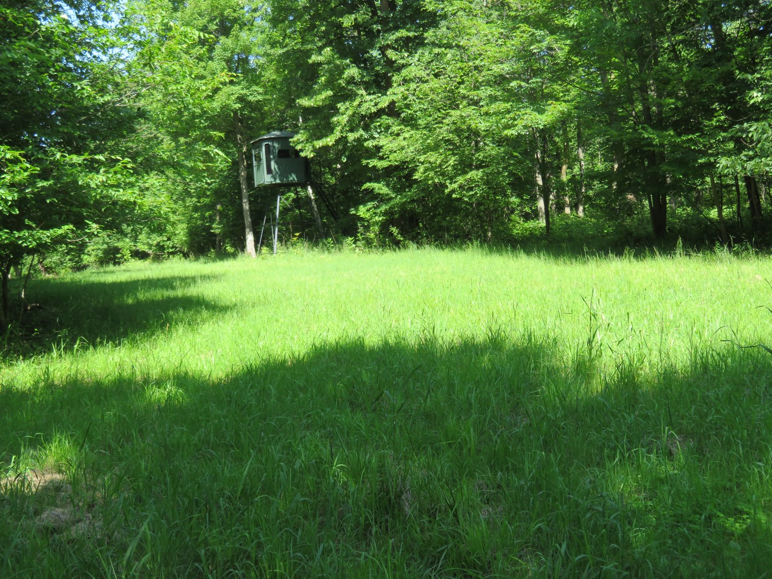 Image for 51+/- Acres of Prime Hunting Land - Absolute Auction