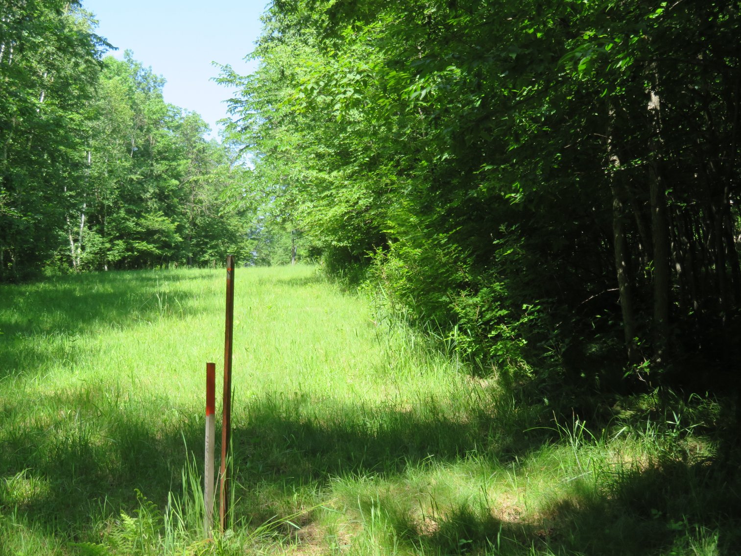 Image for 51+/- Acres of Prime Hunting Land - Absolute Auction