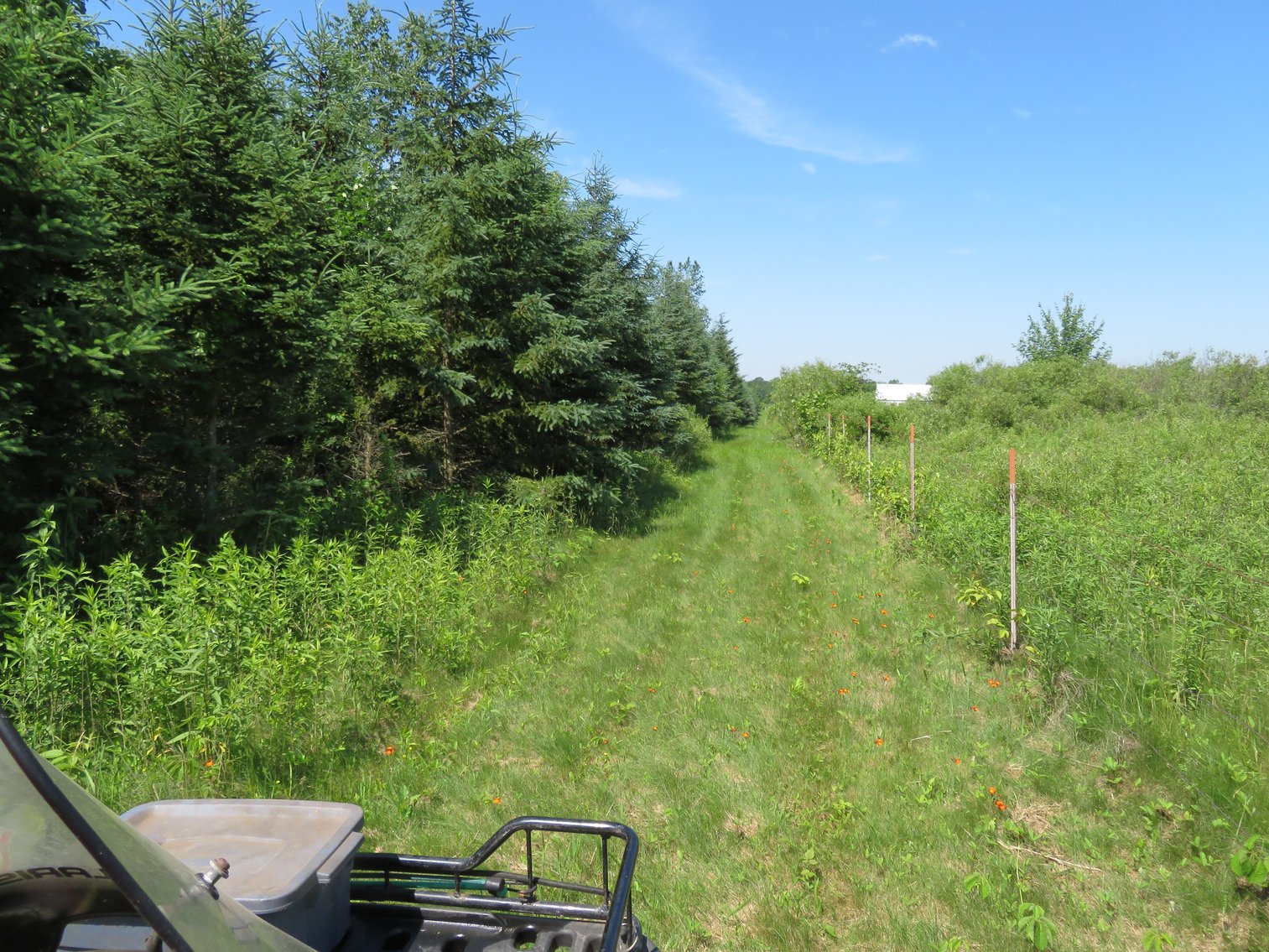 Image for 51+/- Acres of Prime Hunting Land - Absolute Auction