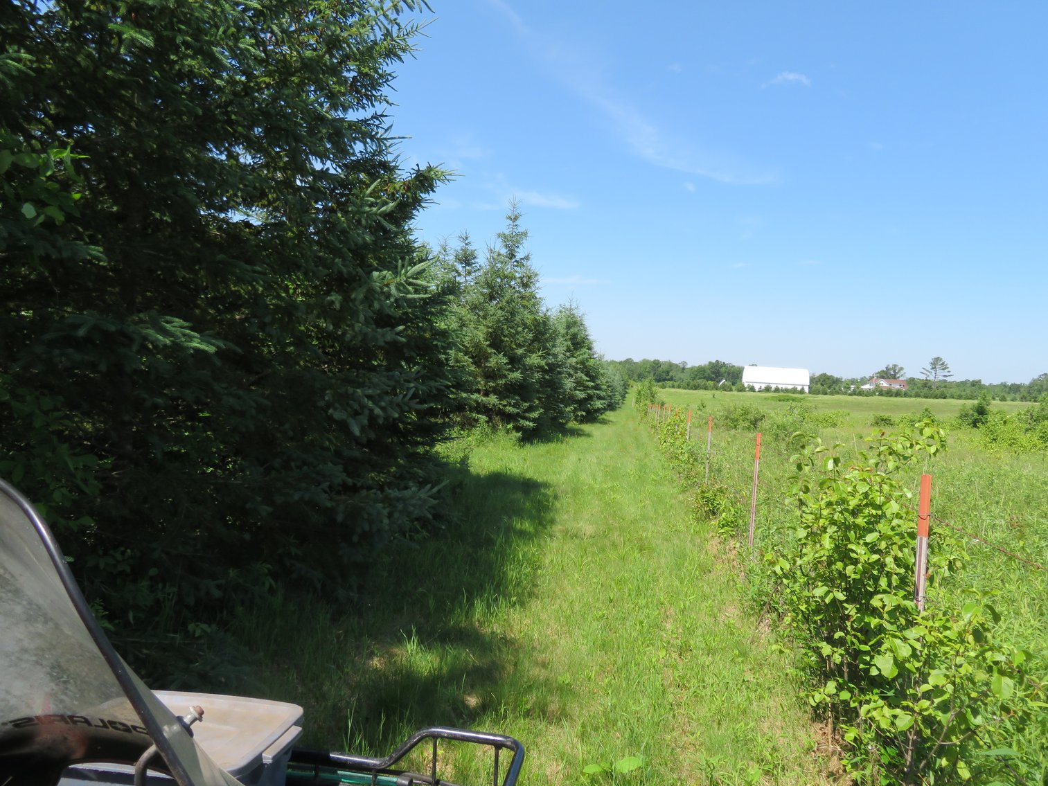 Image for 51+/- Acres of Prime Hunting Land - Absolute Auction