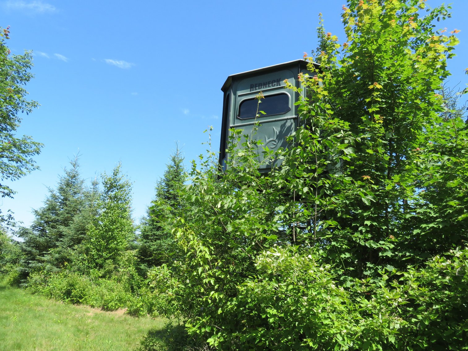 Image for 51+/- Acres of Prime Hunting Land - Absolute Auction
