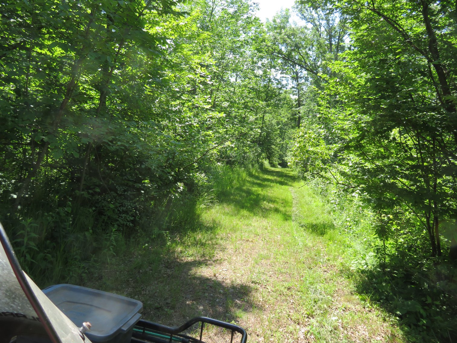 Image for 51+/- Acres of Prime Hunting Land - Absolute Auction