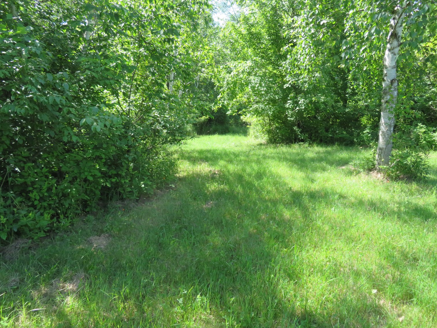 Image for 51+/- Acres of Prime Hunting Land - Absolute Auction