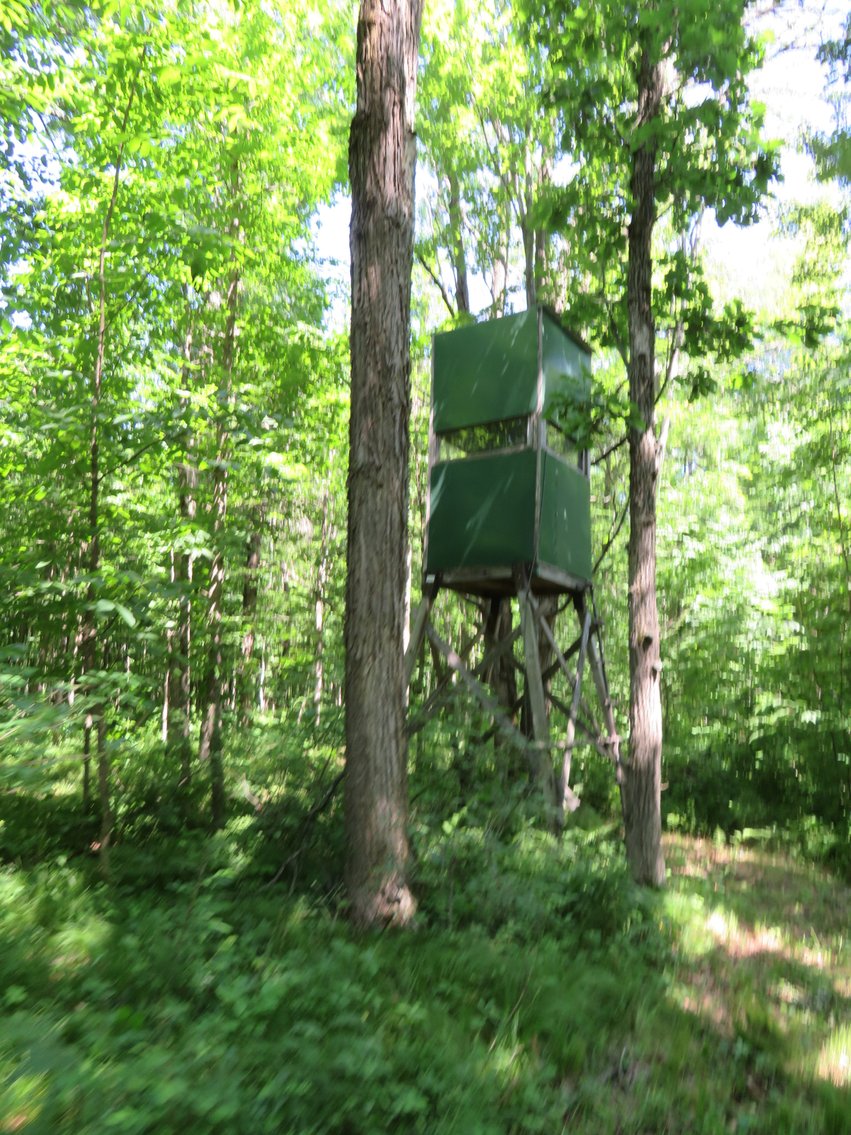 Image for 51+/- Acres of Prime Hunting Land - Absolute Auction