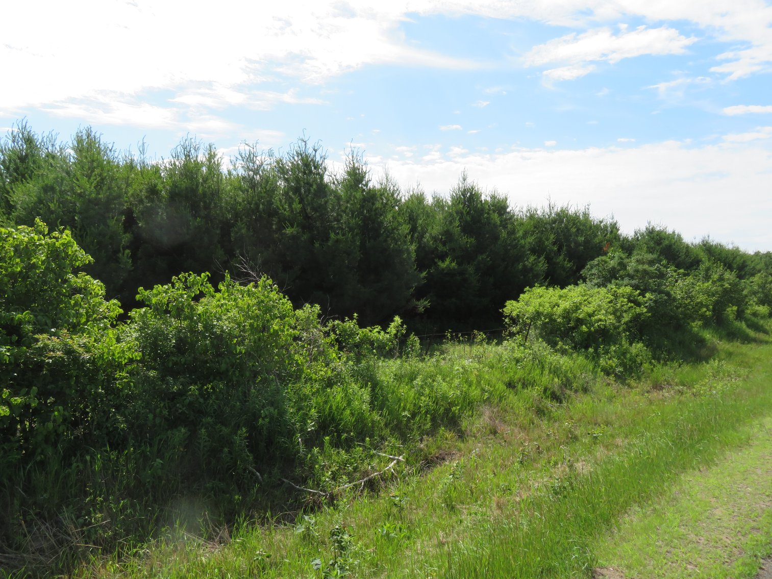 Image for 51+/- Acres of Prime Hunting Land - Absolute Auction