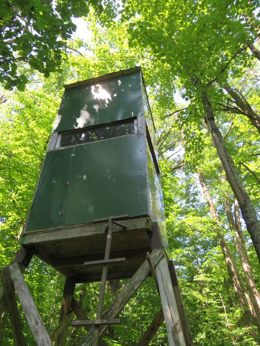 Image for 51+/- Acres of Prime Hunting Land - Absolute Auction