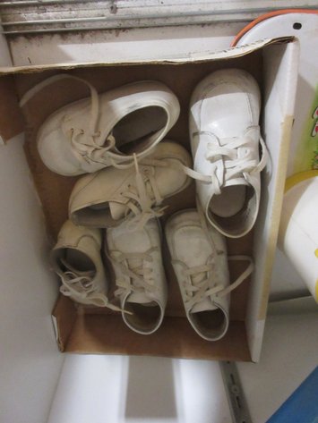Image for Contents of shelf
