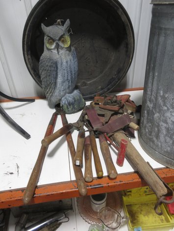 Image for Yard group