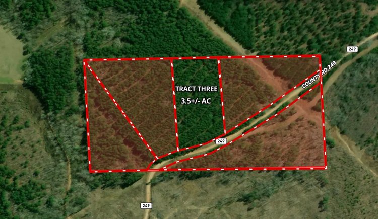 Image for AUCTION 19 ACRES+/- Unrestricted Land | 5 Tracts or Whole | Randolph County AL