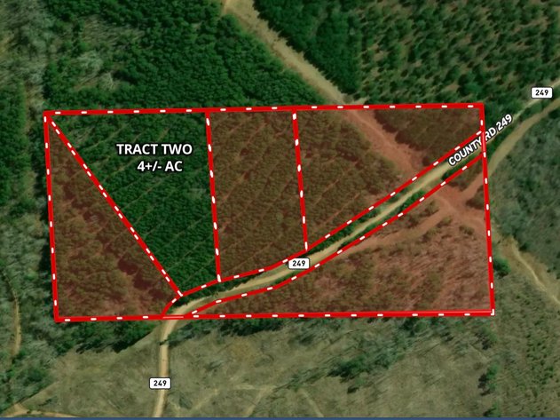 Image for AUCTION 19 ACRES+/- Unrestricted Land | 5 Tracts or Whole | Randolph County AL