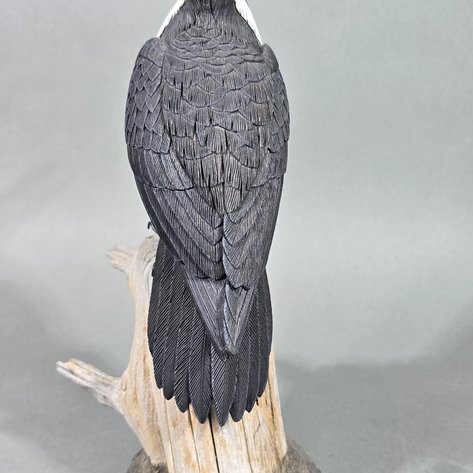 Image for End of June Online Sportsman's Auction 2026