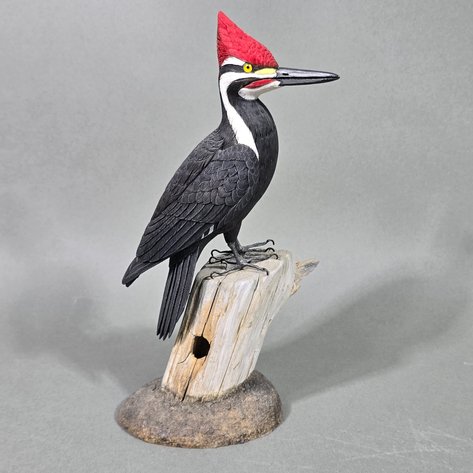 Image for End of June Online Sportsman's Auction 2026