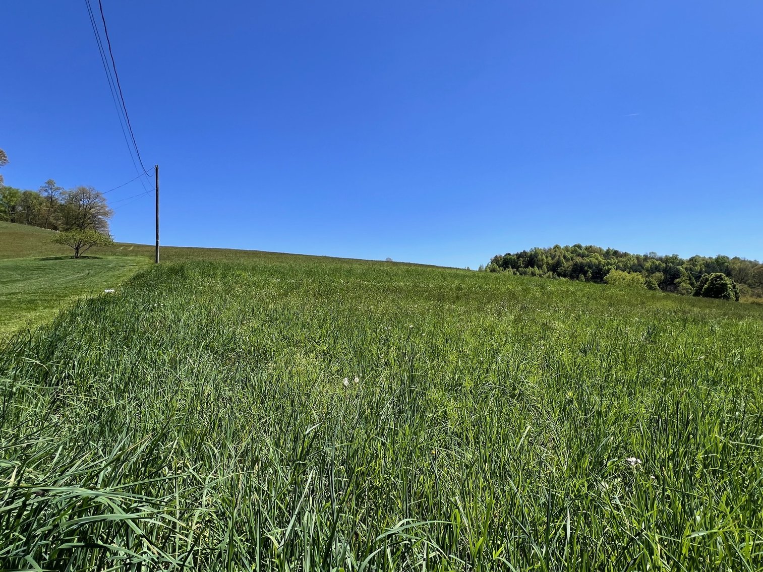 Image for 11722 ROCKY HILL ROAD  BRISTOL, VA 24202