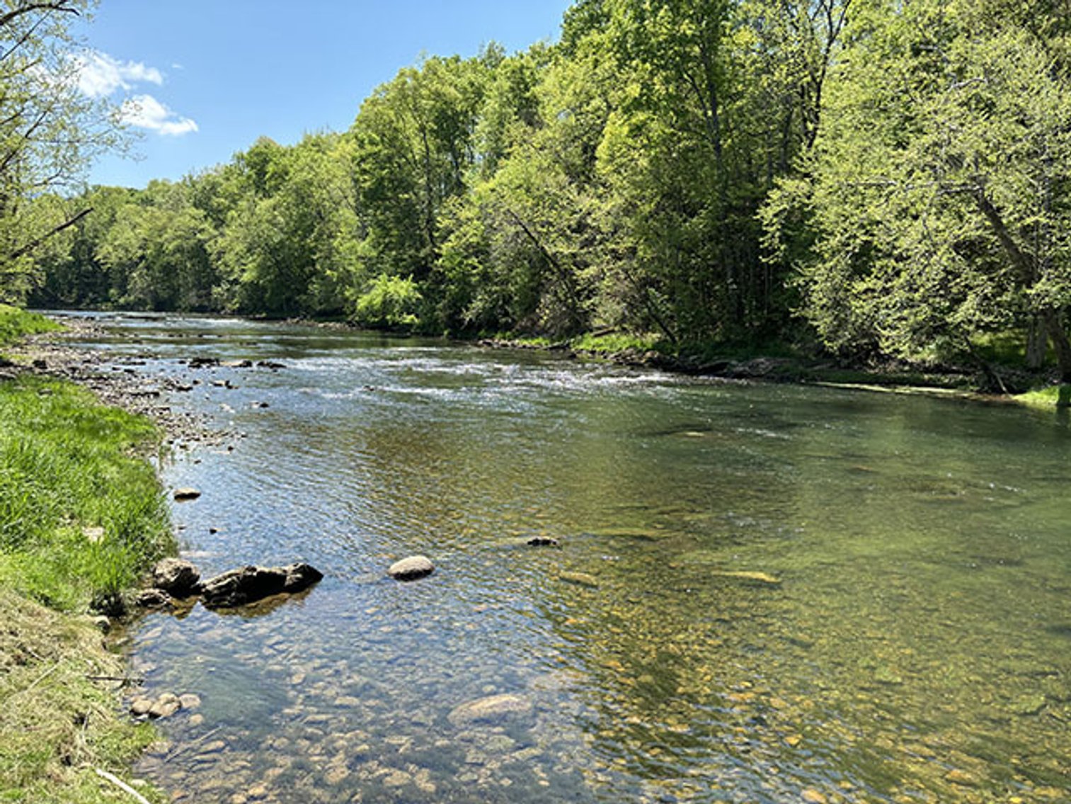 Image for 503 RIVERVIEW ROAD     BRISTOL, TN 37620