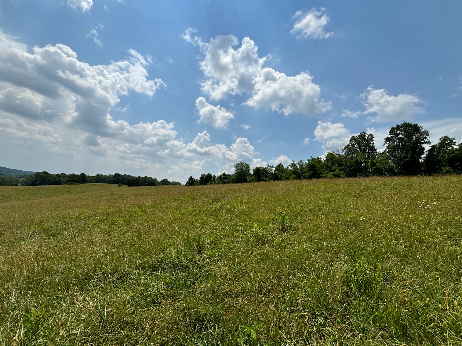 Image for STONYBROOK RD.  MEADOWVIEW, VA